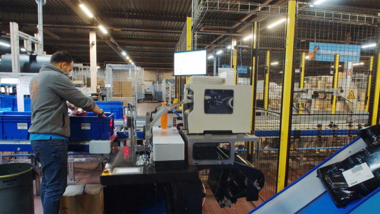 Active Ants Video Still 2 (1)