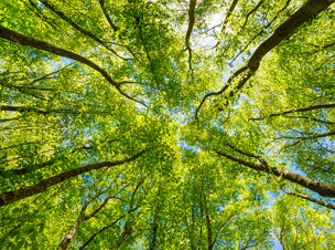 Net Zero Small Slider