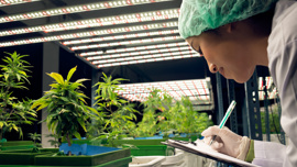 Adobestock 592508706