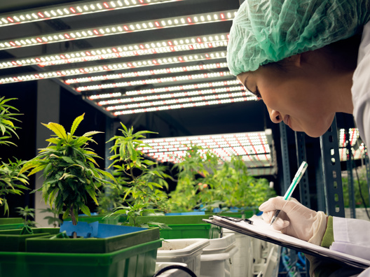 Adobestock 592508706